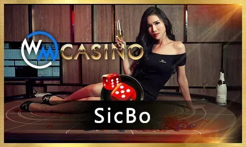 Cockfighting betting at winwin winwin01.net